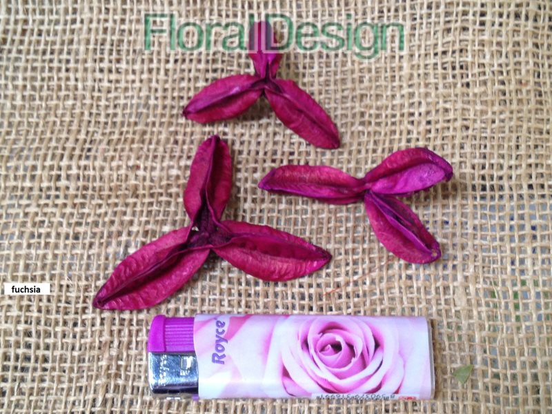 Pau Terra Estrela fuchsia 200gr.