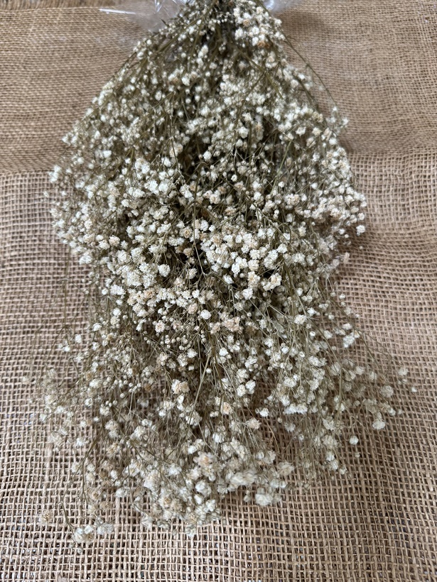 Gypsophila 100gr. natur stabilizovaná