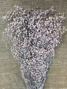 Gypsophila 100gr. růžová / bílá stabilizovaná