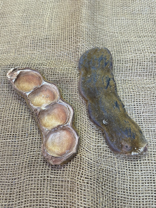 Bean olho boi natur 15 ks