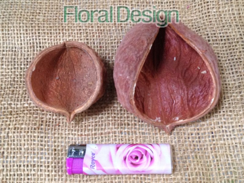 Xixa loose 10ks natur