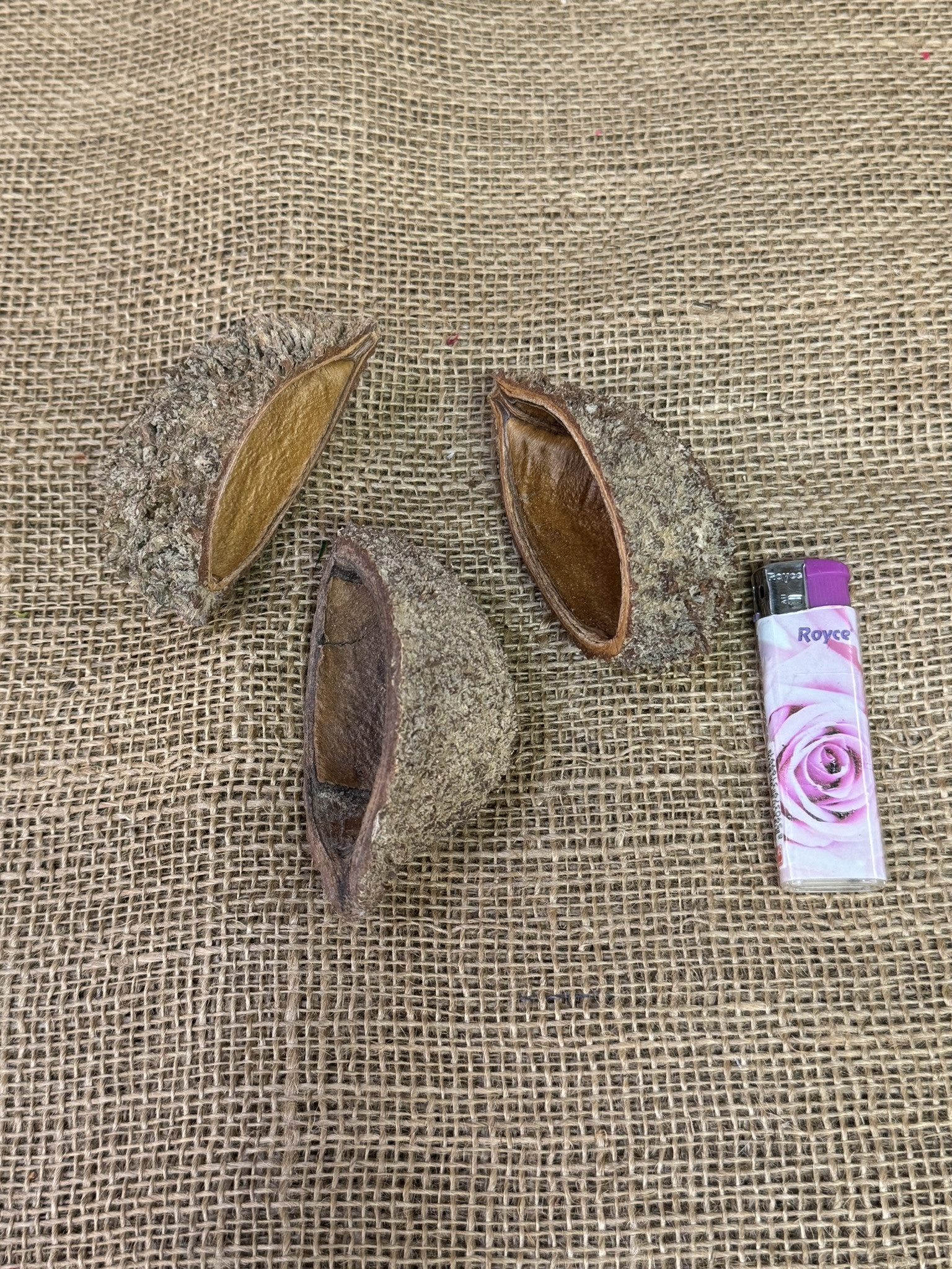 Bolsa Pastor natur 10ks