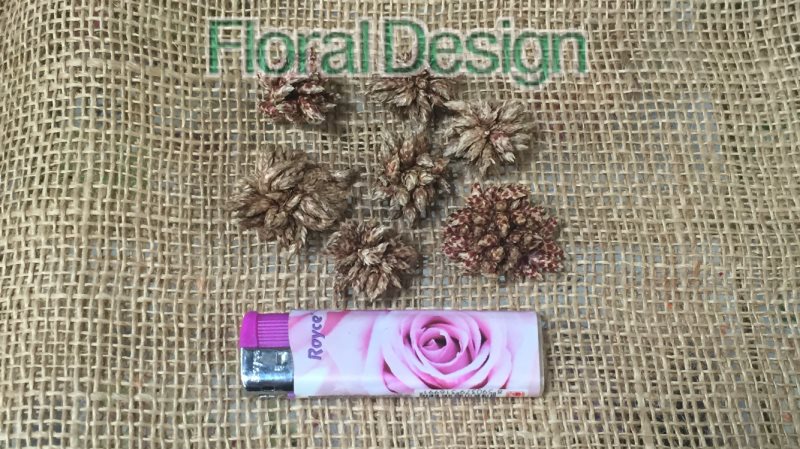 Star flower 250gr. natur
