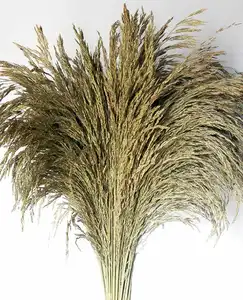 Arozinho tráva natur, balení 100-110cm