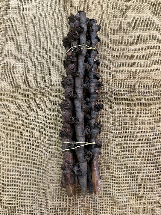 Buriti twig 37cm natur 7 kusů