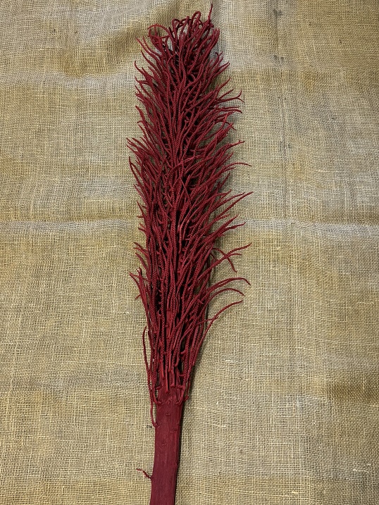 Cacho Ingrasso 120cm červená