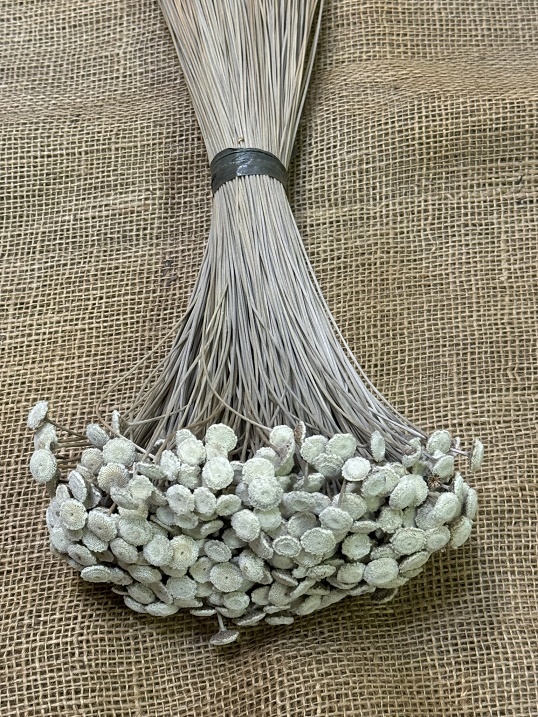 Botao XL natur balení 45cm
