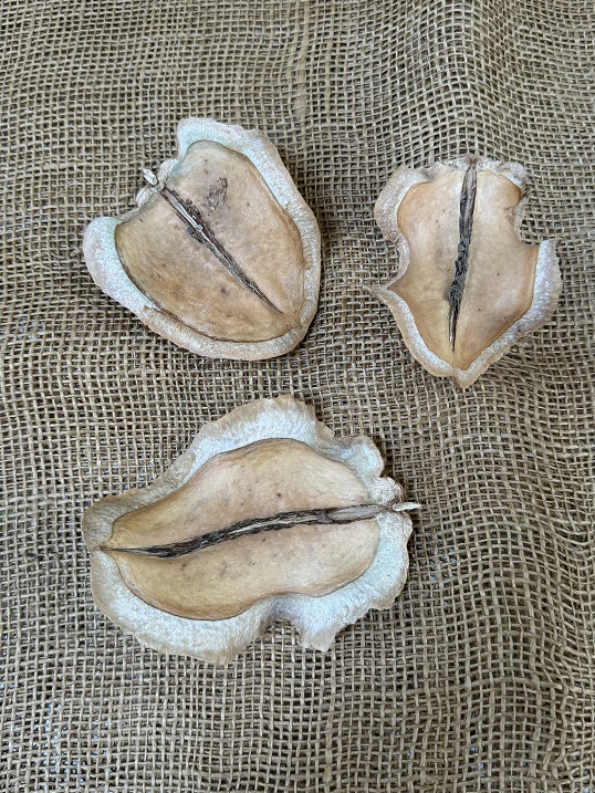 Jacaranda půlená loose 250gr.