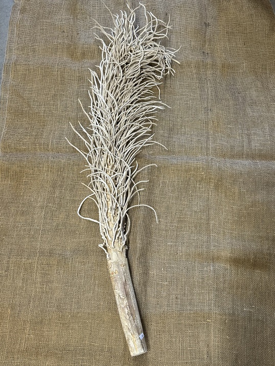 Cacho Ingrasso 120cm bělená