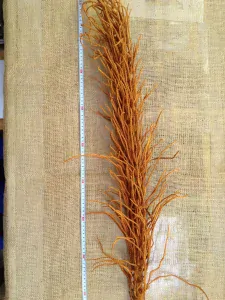 Cacho Ingrasso 120cm oranžová