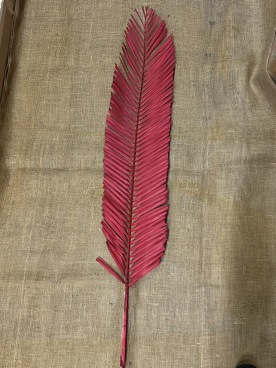 Palm listy ovál 120cm červená