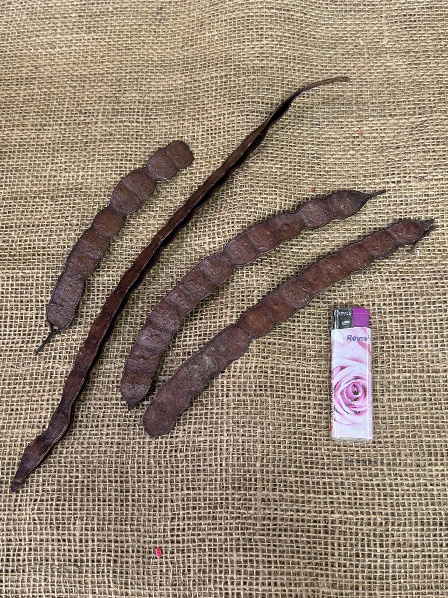 Red bean loose 200gr. natur