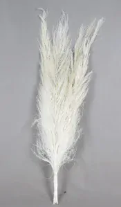 Date Jhat 150cm bělený 5 ks