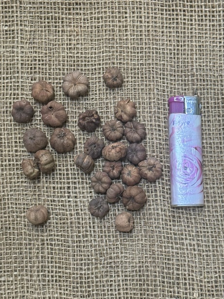 Gaya fruit loose 200gr. natur