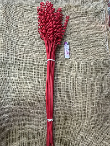 Cane spring big 25 ks červená