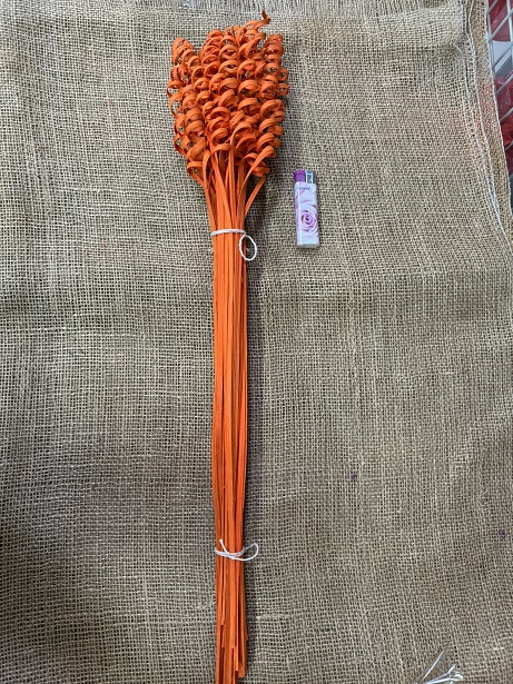 Cane spring big 25 ks oranžová