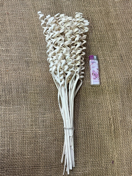 Cane spring mini 25 ks bělená