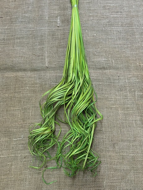 Palm ting twisted 250gr. světle zelená