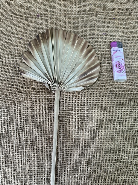 Palm rouned spear 20cm natur / opálený 4 ks