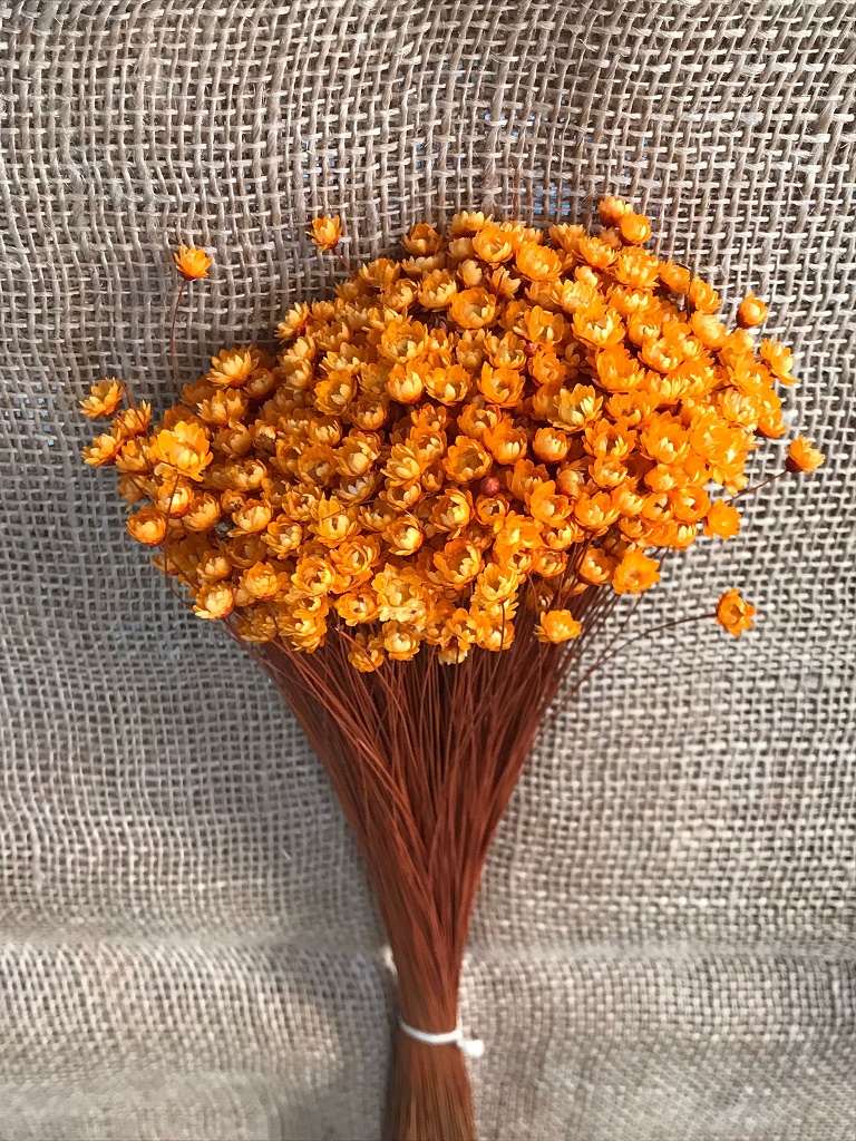 Glixia 50gr. orange