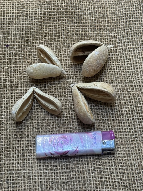 Bagon fruit loose 15 ks bělená