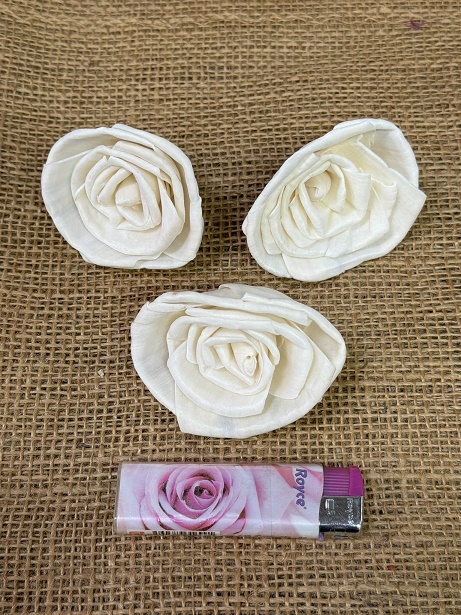Sola Rose 6 cm loose natur 5ks