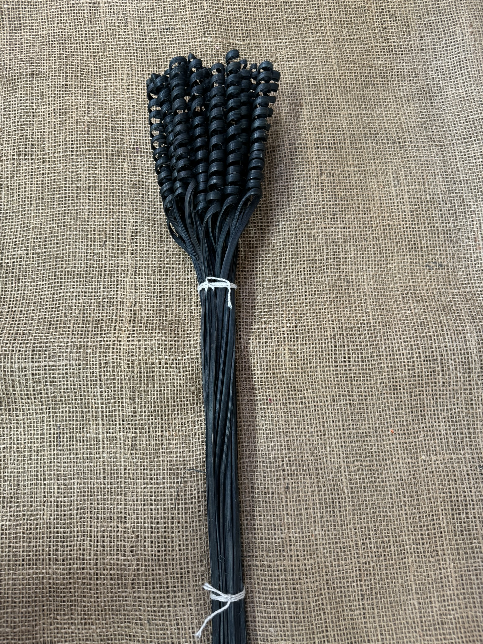 Cane spring mini 25 ks světle hnědá