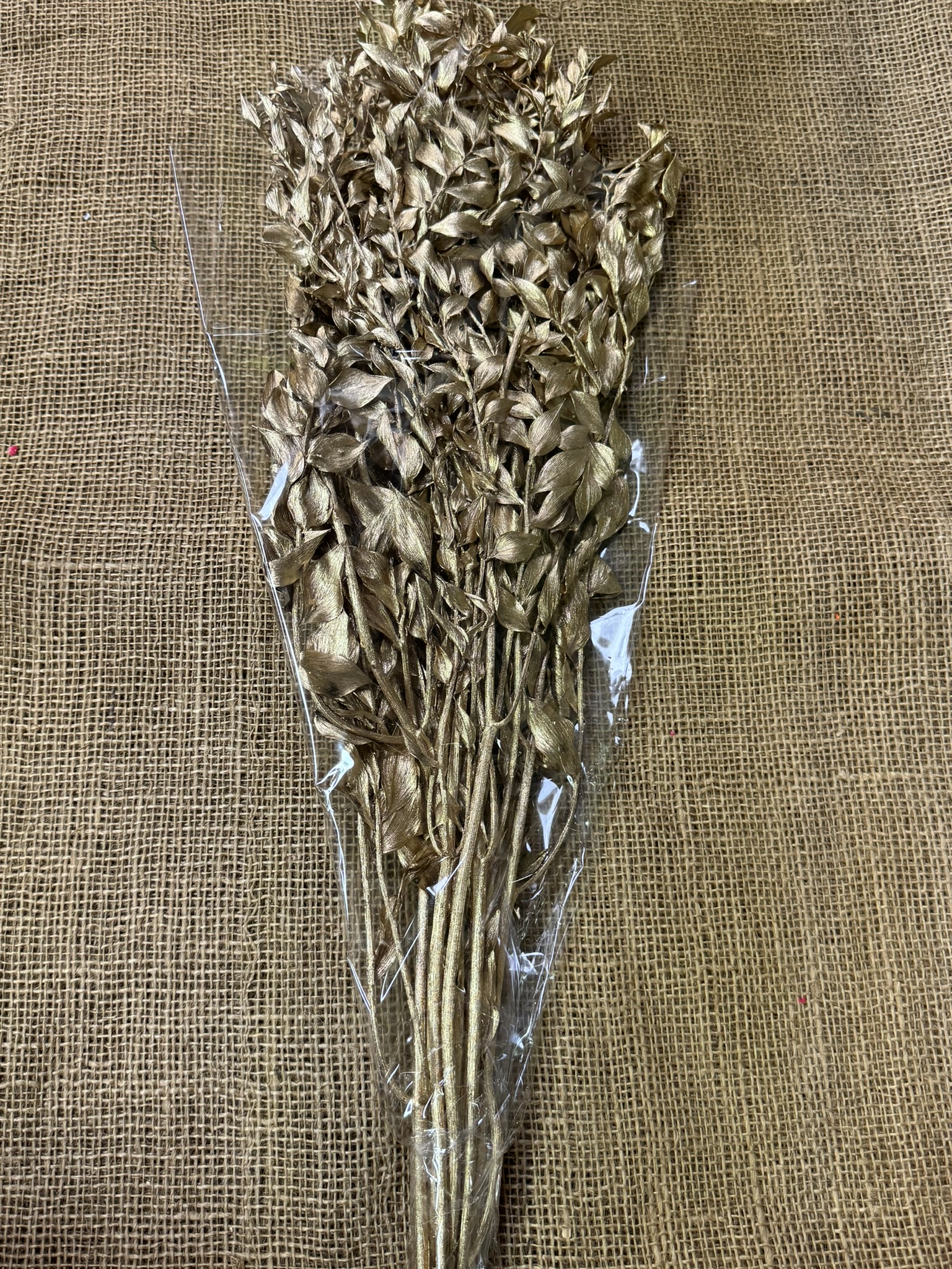 Ruscus 150gr. zlatá