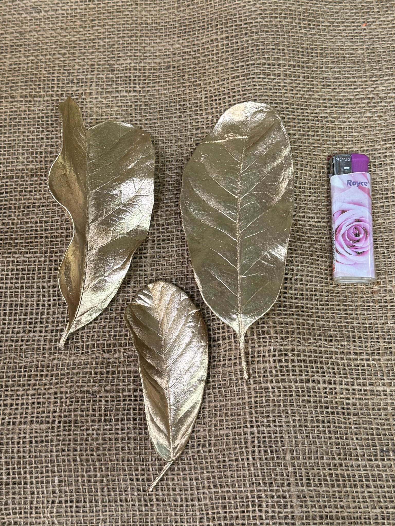 Magnolia listy 50gr. zlatá