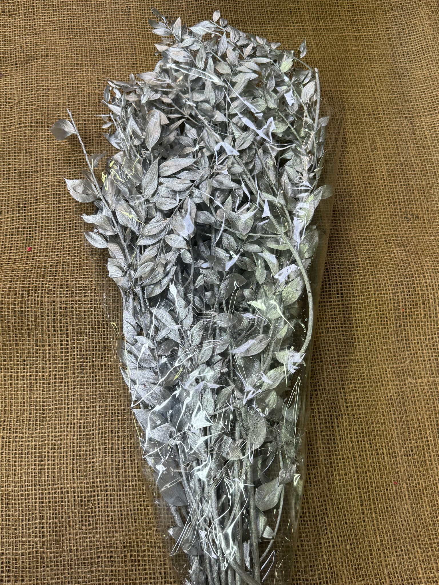 Ruscus 150gr. stříbrná