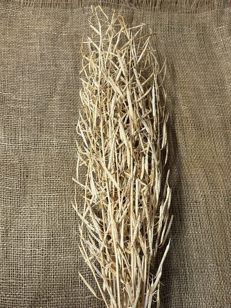 Canola 75cm bělená 75gr.