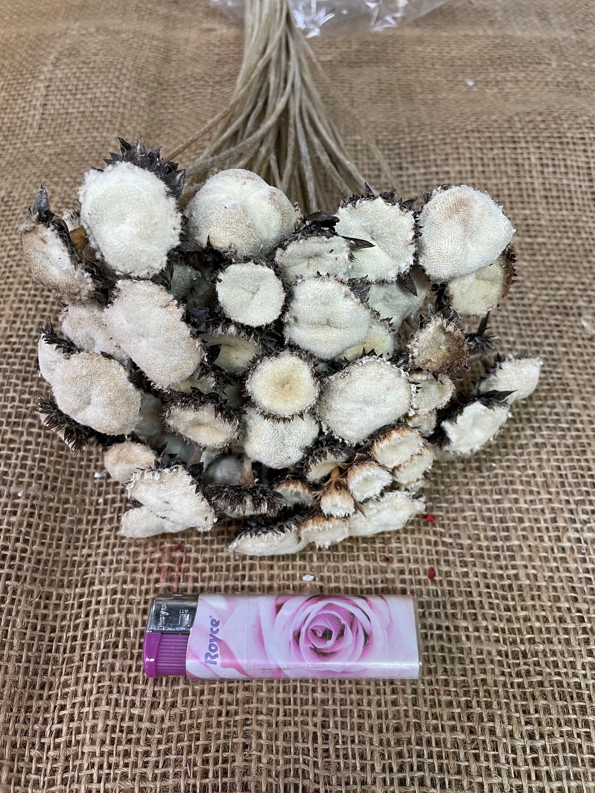 Pali pala 150gr. natur