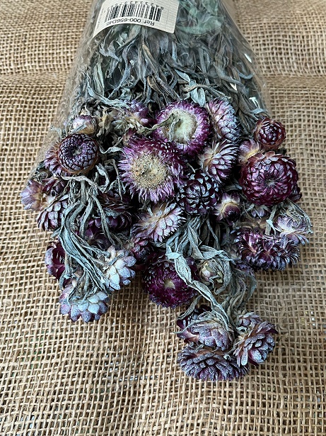 Helichrisum ( slaměnky ) 100gr. mix frozen