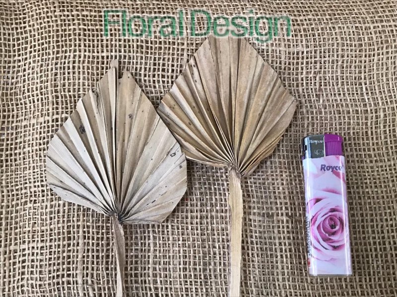 Palm spear mini 10 ks natur