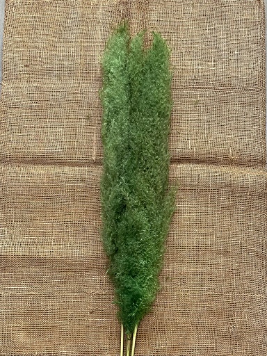 Piuma extra světle zelená 120cm