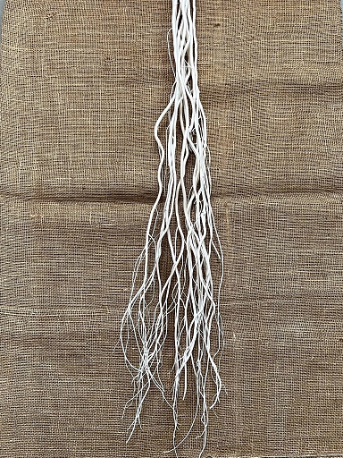 Salix 120cm bělený 10ks