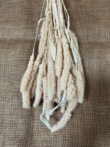 Setaria 100gr. bělená