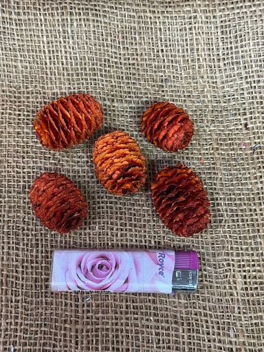 Sabulosum loose 200gr. oranžová