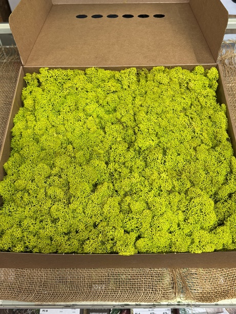 Mech sobí stabilizovaný 1kg lime zelený