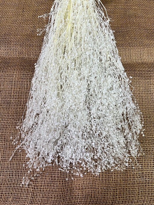 Gypsophila 100gr. bělená stabilizovaná
