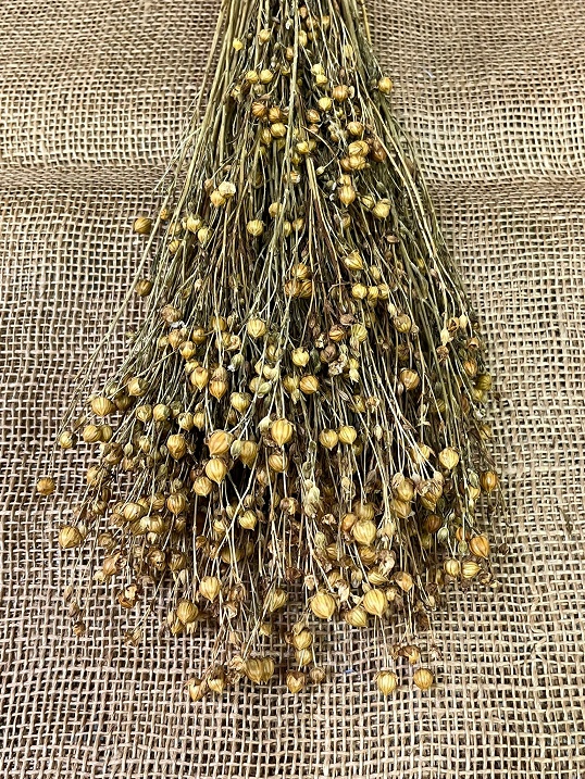 Len 110gr. natur