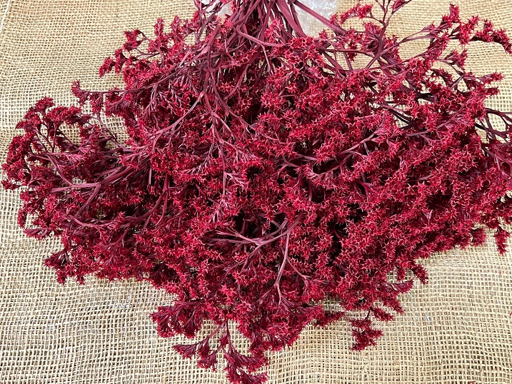 Statice Tatarica 100gr. červená