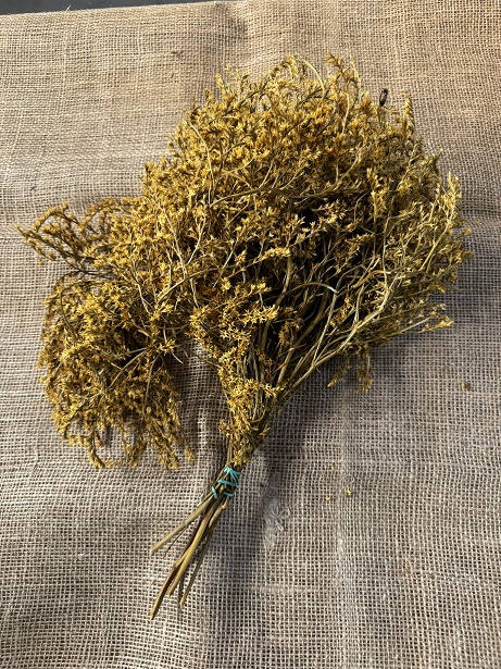 Statice Tatarica 100gr. žlutá