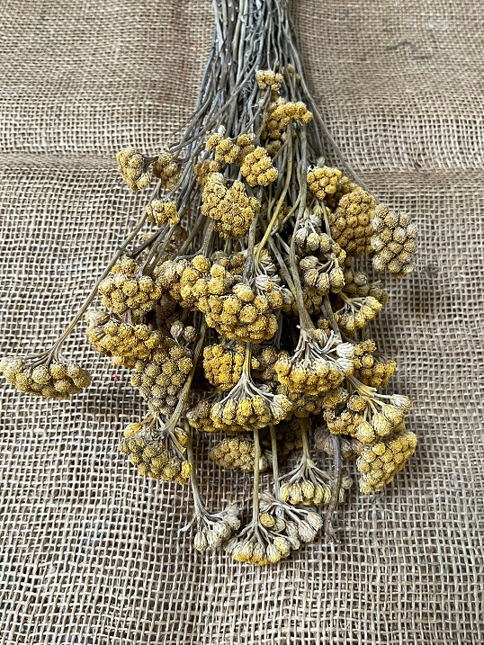 Lonas 100gr. natur