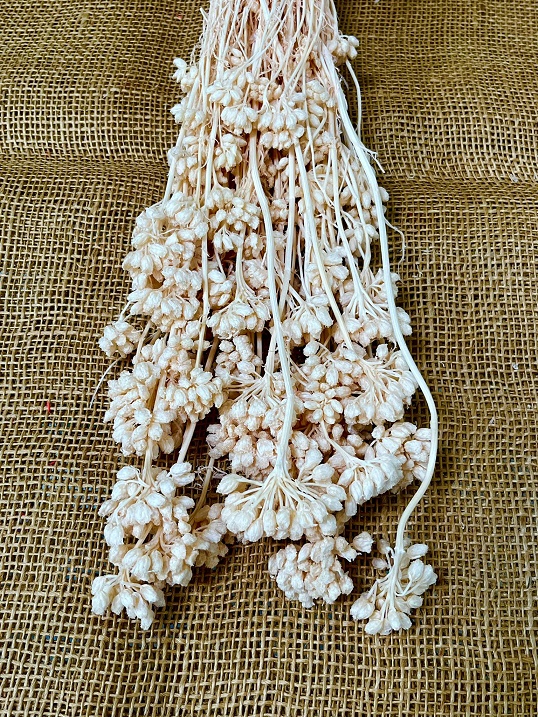 Lonas 100gr. růžová