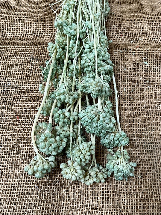 Lonas 100gr. mint