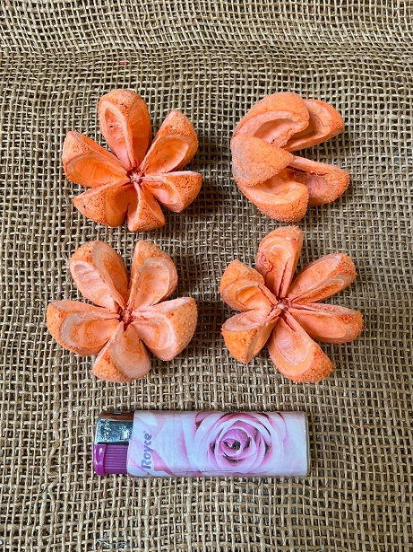 Cartus flower bez bodlin loose 10 ks oranžová