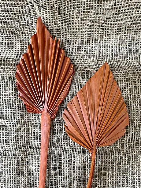 Palm spear medium 10 ks oranžová