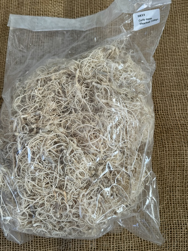 Curly moose 200gr. bělená