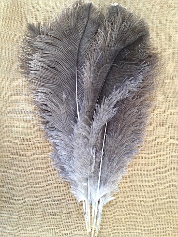 Pštrosí peří 45-55cm natur cca 5ks